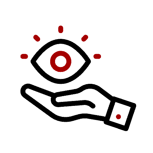 vision-1
